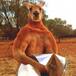 CANGURO AUSTRALIANO CON LA FUERZA DE UN BOXEADOR.
