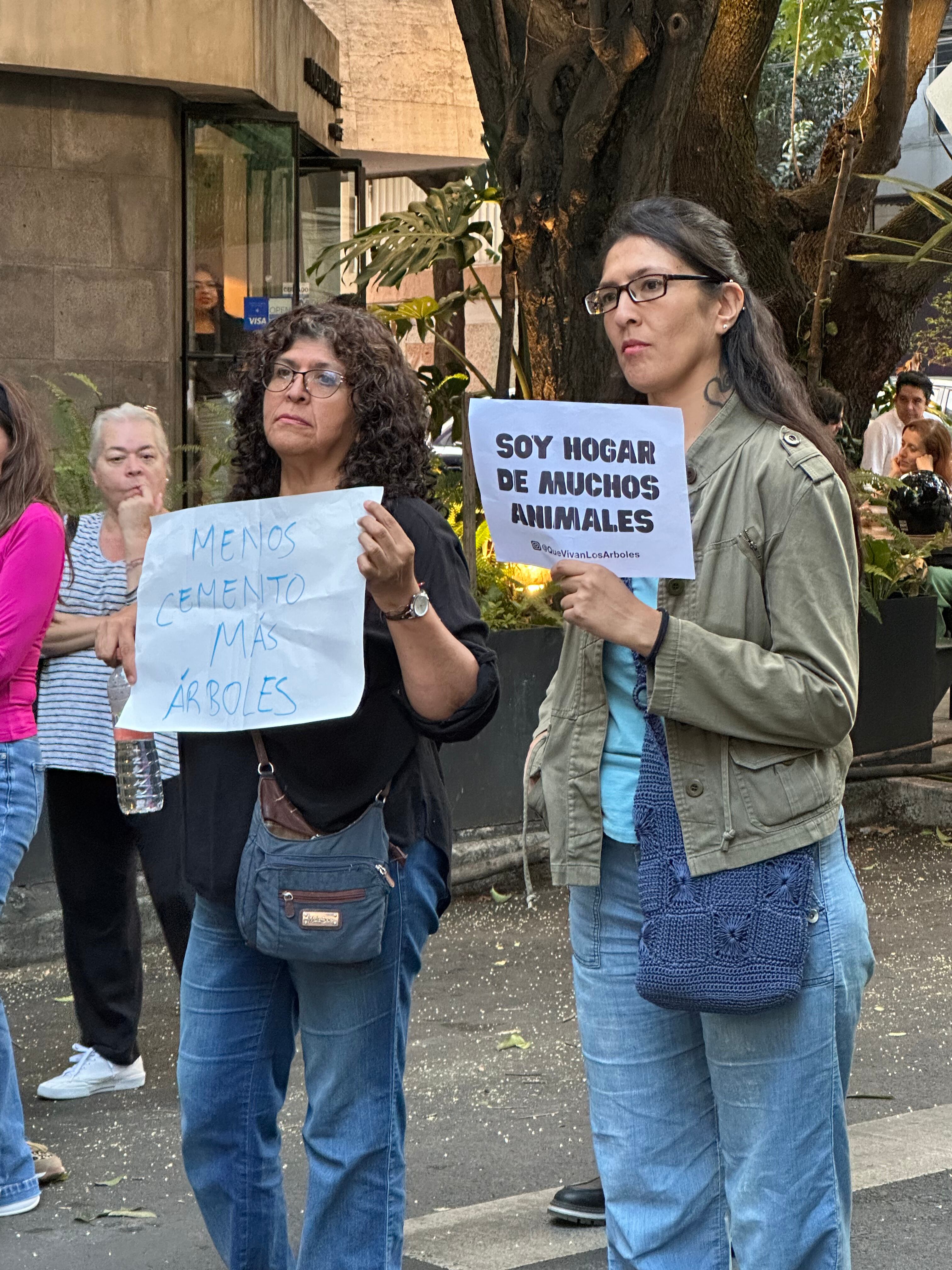 Vecinos de la Alcaldía Benito Juárez se reunieron para protestar en contra de la inmobiliaria que quiere acabar con la vida de Laureano, un árbol de más de 100 años