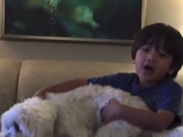 El millonario youtuber de sólo 6 años