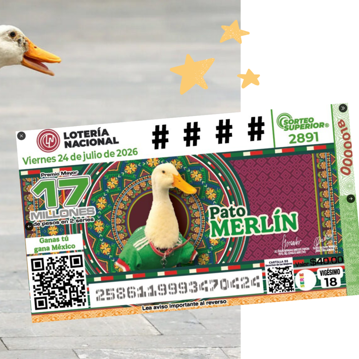El Pato Merlín llega a la Loteria Nacional ¿Quién es y por qué se hizo tan famoso?
