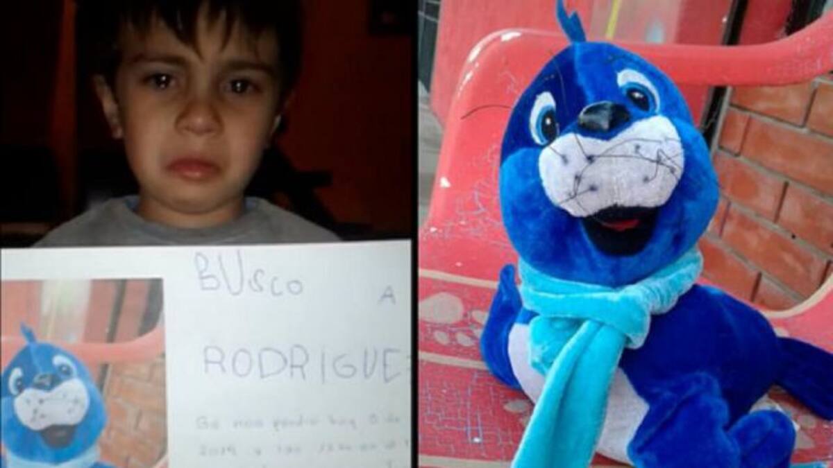 Niño pierde peluche y video con cartel de su juguete se hace viral