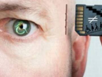 Logran transferir la memoria de un ser vivo a otro con éxito