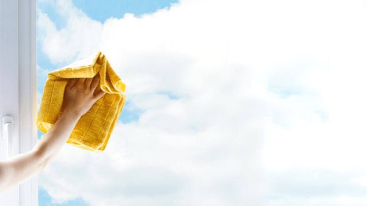 ¿Empleadas domésticas nudistas?