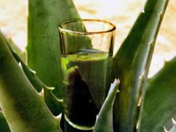 El mezcal se destilaba antes de la colonia