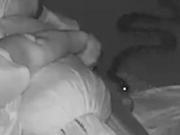 Serpiente ataca a una mujer mientras duerme