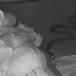 Serpiente ataca a una mujer mientras duerme