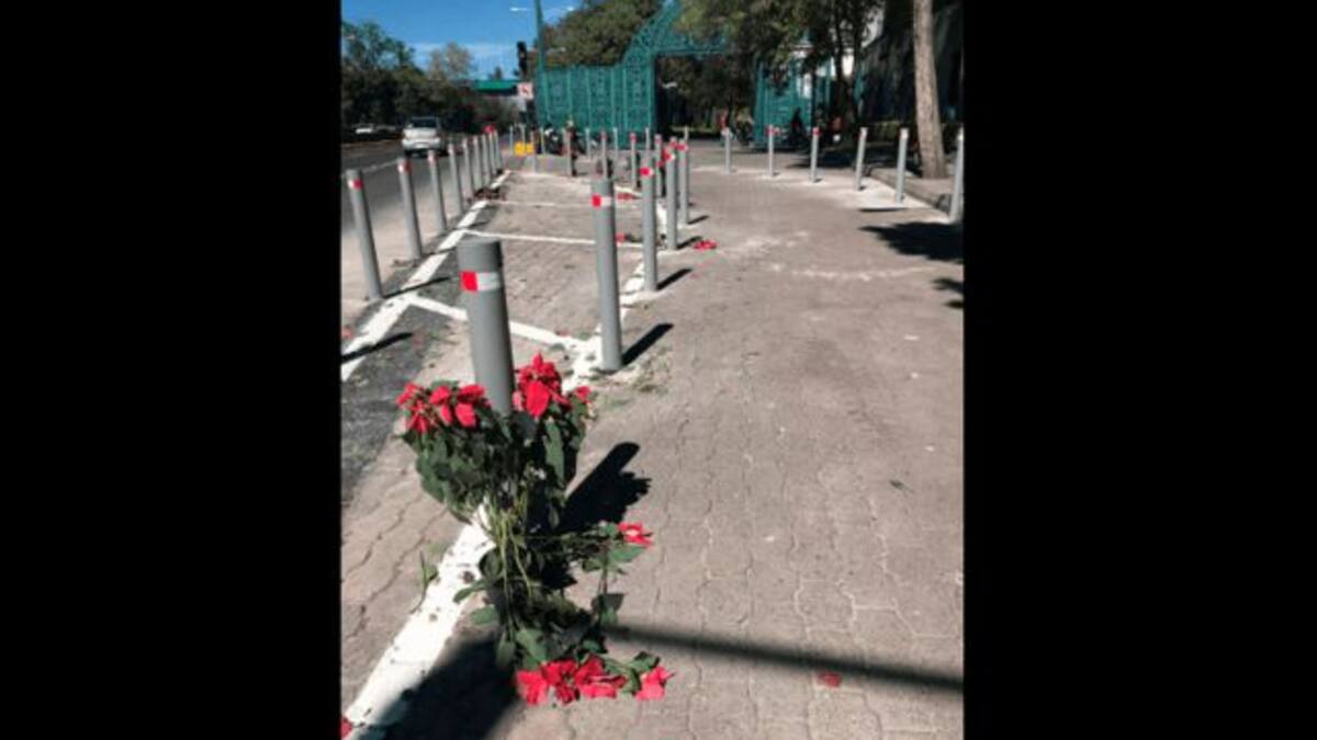 Como tías en boda, se llevaron las nochebuenas de Los Pinos
