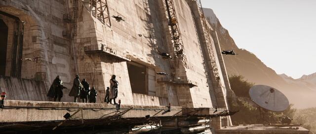 Nuestros compañeros serán algo más que nuestra familia