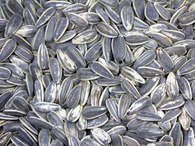 Seed Cycling, regula tu período menstrual con semillas