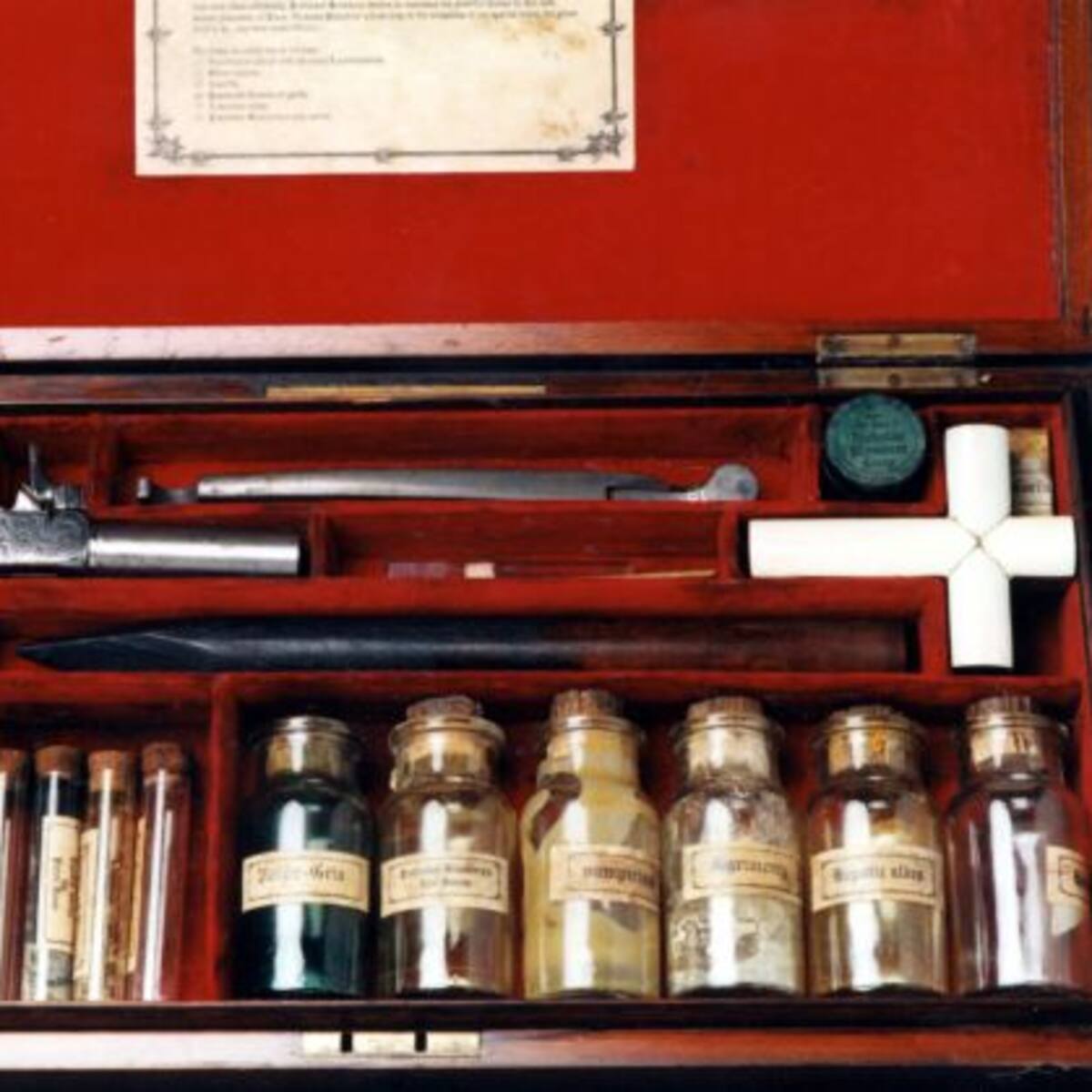 Escucha las notas curiosas