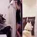 ESTE ES EL RETO QUE SORPRENDE A LAS MASCOTAS Y SE ESTÁ HACIENDO VIRAL
